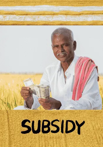 Government Subsidy Structure